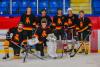 Daily Dusters