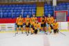 Dundee Bees
